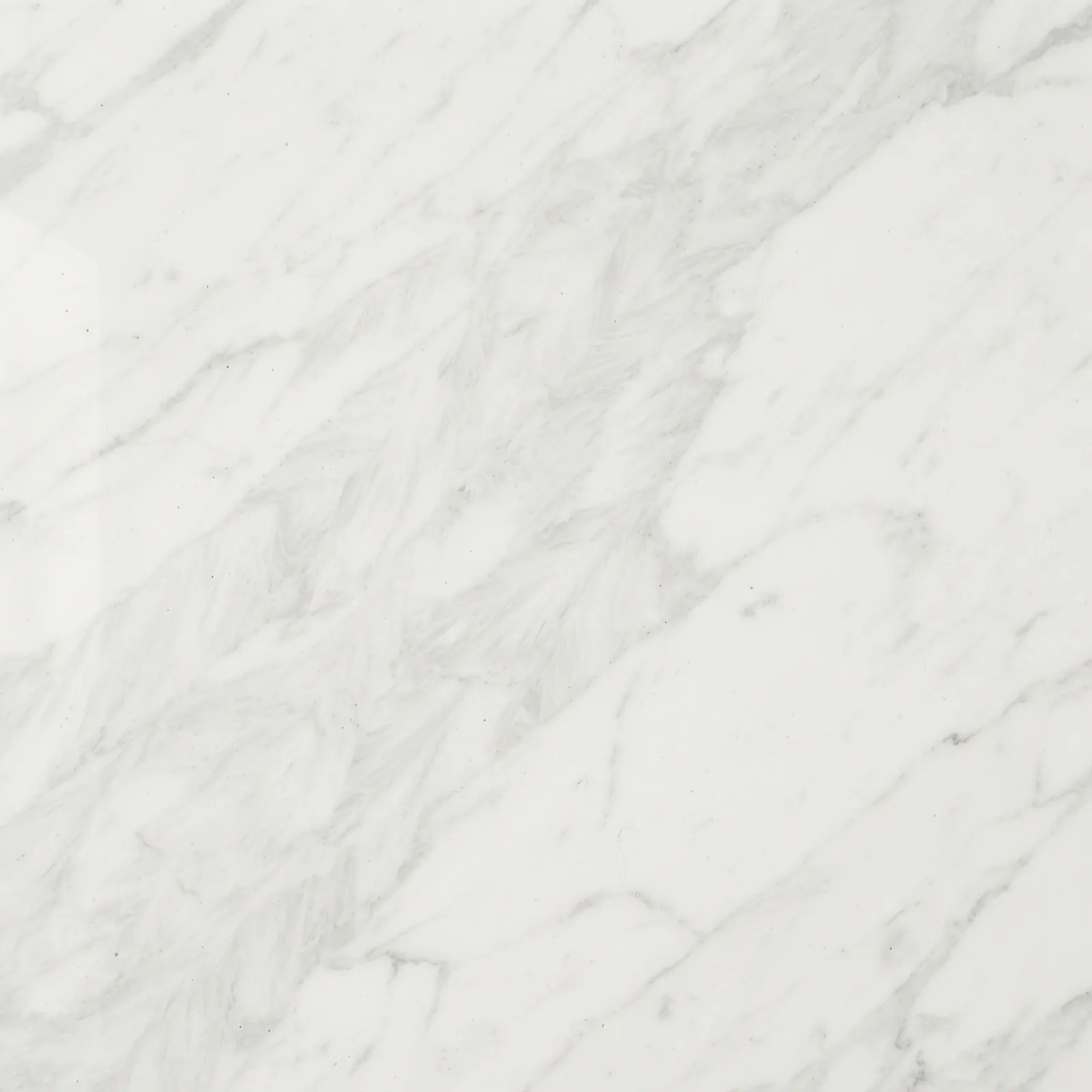 White marble with grey veining